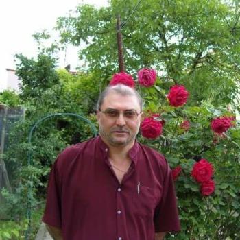 seyhlerliali43