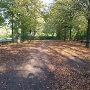 Waldparkplatz bei Dormagen