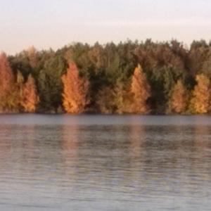 Brückelsee