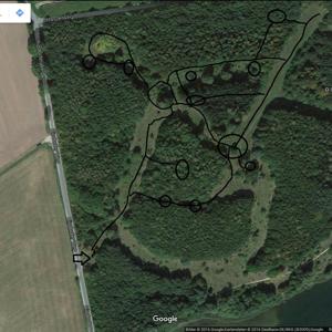 OSEE Rund um die Uhr !!