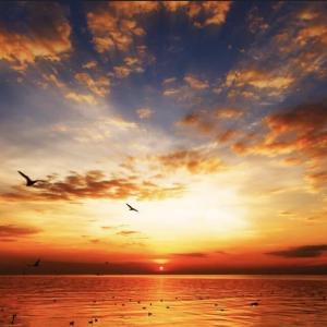 NRW/ neue Kontakte und mehr😜❤️