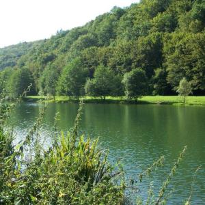 Badesee mit FKK