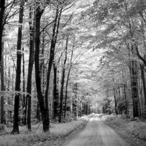 A28 Abfahrt Hude/ Kleiner Parkplatz Hasbruch Wald