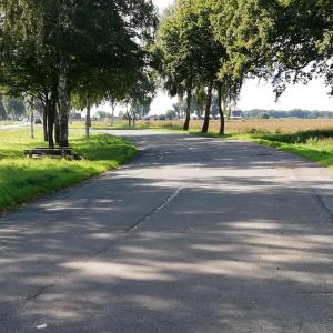 Waldstück an L142 / Sittensen