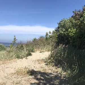 Naturstrand am Hafen Kühlungsborn