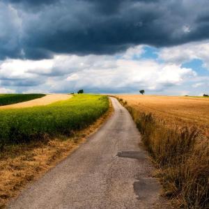 Auf dem Feldweg
