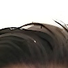 Boris08