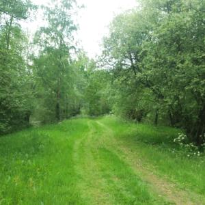 Hinter Wohnwagen Bruns