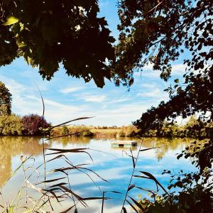Am Ende des Sees