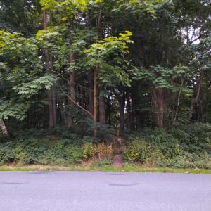 Rastplatz B105