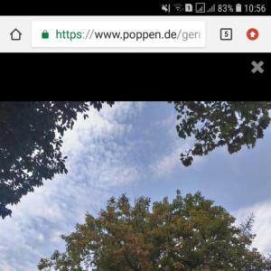 Burgruine Bedburg kaster