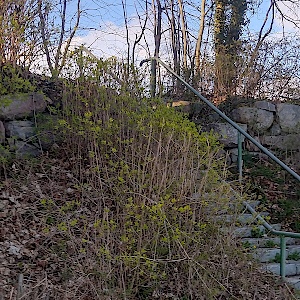 Rastplatz Petershöhe