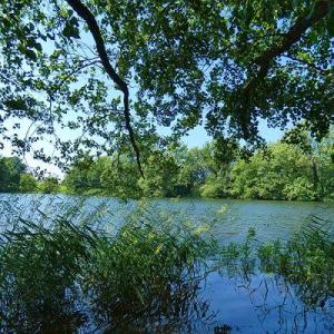 FKK-Weiher Weitefeld