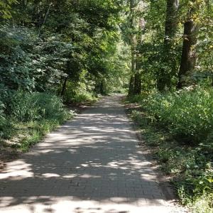 In der Natur Mondorf am Diescholl Siegmündung