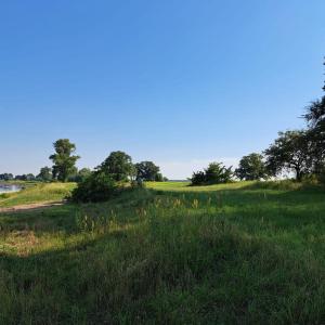 An der Elbe, Spaß haben, sehen, zeigen, mitmachen