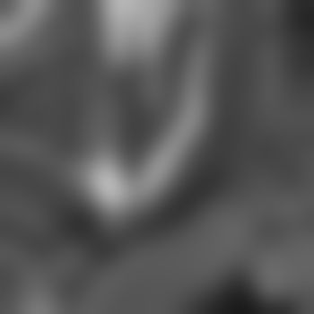 Gerd20