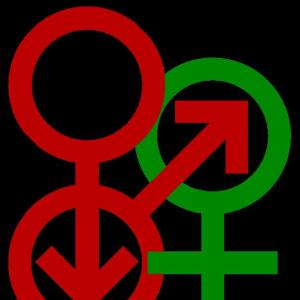 MMF/Bukakke Main Kinzig