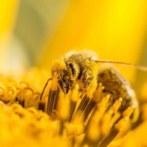 IRT: Sex an fruchtbaren Tagen