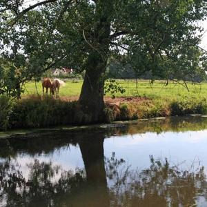 Parkplatz vor Bienenbüttel