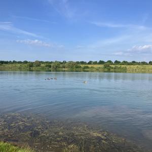 See Weckesheim BWS