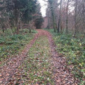 Parkplatz B472 Waakirchen