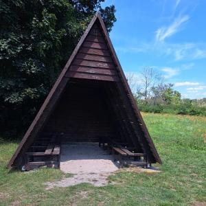 Zeigen , sehen , machen oder mitmachen