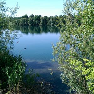 FKK Köln Kiesgrube Gremberghoven (Alberti See)