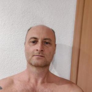 hengst6913