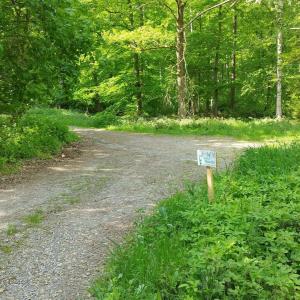 Wald-Parkplatz “Kortenbergweg“ Rischenau