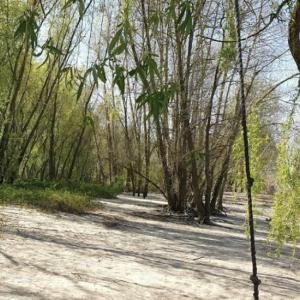 Nackt am Rhein… Neuss / Düsseldorf