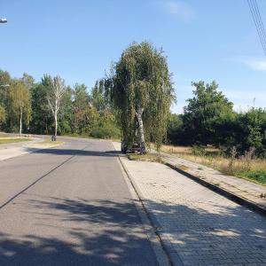 Angelegenheit in Neuendorf nähe Lübben