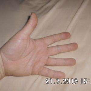 paderborner66