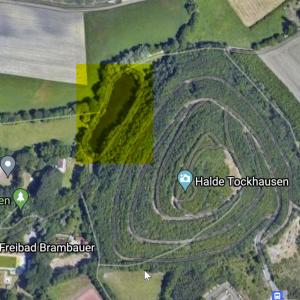 Teich am Schwimmbad Brambauer