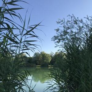 FKK-Badesee Gretelmühle bei Landshut