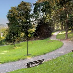 Im wald Friedrichsberg in Wuppetal