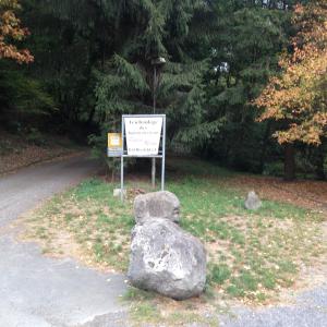 Roter Neon -Parkp.am Wald