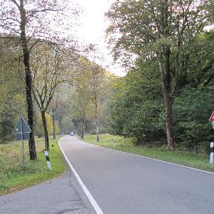 Versteckter, kuscheliger Waldparkplatz