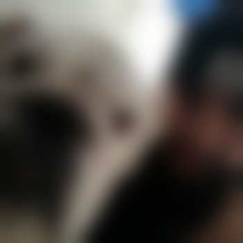 GentleTongue98
