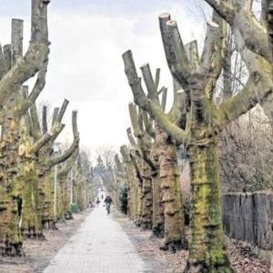 46045 - Oberhausen-Styrum