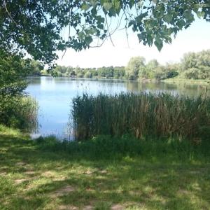 Briesensee bei Schwedt