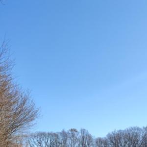 Bredenbeker Teich