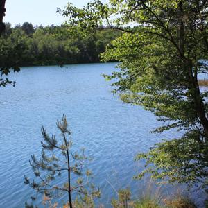!NEU! Baggersee Husum bei Nienburg