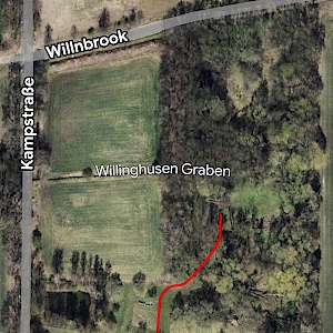 Oststeinbek Waldstück