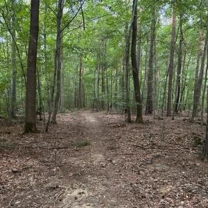 Tannenwald Pfullingen