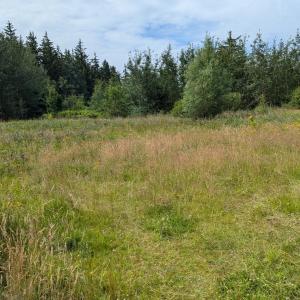 Husum Outdoor Treffen gerne Bi