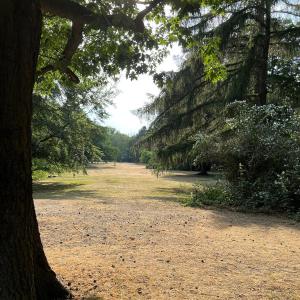 Kienhorstpark