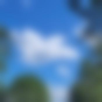 Robulove