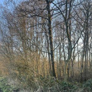 Park Reinkenheide/Bürgerhain Bremerhaven