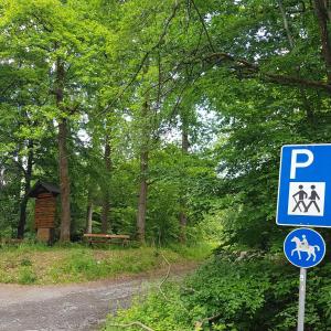 Sohlbach am Kopp