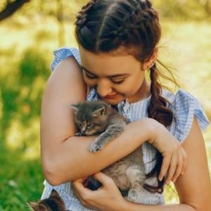 Katzen, Katzen, Katzen